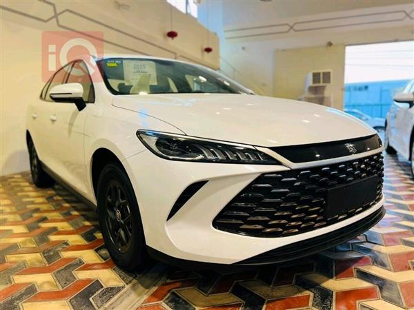 بي واي دي Qin Plus 2025 للبيع في العراق - النجف